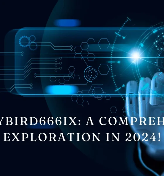 Knottybird666ix A Comprehensive Exploration in 2024!